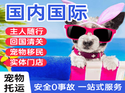 阿勒泰雪都机场空运国际宠物托运 【国